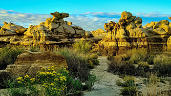 Sunrise at the Bisti Badlands, New Mexico, plants, rocks, usa, landscape, flowers, sky HD wallpaper