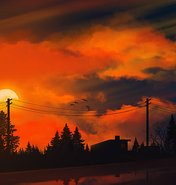 Trees, Sunset, Art, Sun, Wire, Wires HD phone wallpaper