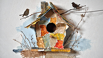 Bird House HD wallpaper