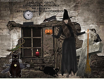 Halloween, cat, black, dark HD wallpaper