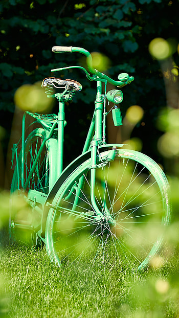 Mnsterland, Scenic routes, Countryside charm, Cycling destination HD phone wallpaper