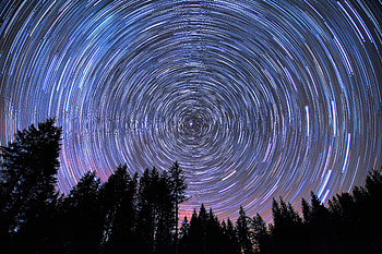 Nature, Trees, Stars, Starry Sky, Round HD wallpaper