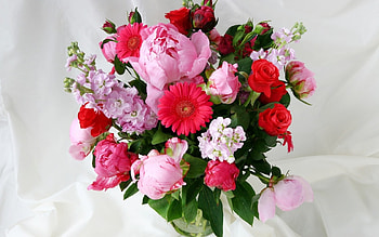 Plants, Flowers, Bouquets HD wallpaper