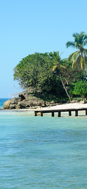 Dominica , Latest HD phone wallpaper