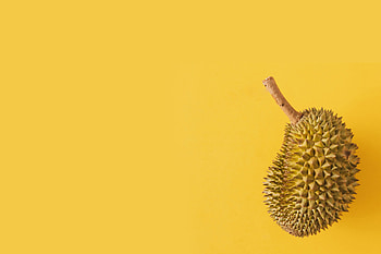 About Durian, Information source, Knowledge hub, Durian facts HD wallpaper