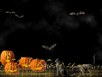 halloween kitties, animal, scary, black, spooky, cat, orange, dark, halloween, holiday, pumpkin HD wallpaper