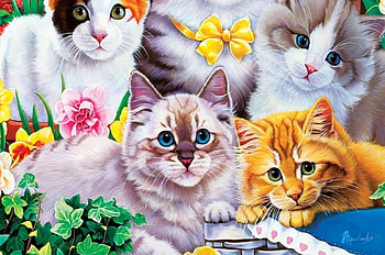 Kittens, kitten, pisici, painting, art, pictura, cat, jenny newland HD wallpaper