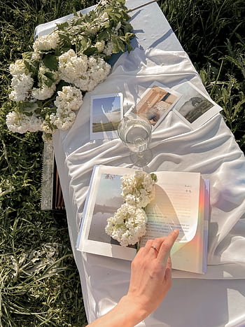 A peaceful outdoor scene with flowers, polaroids, and a book on a sunny day. HD phone wallpaper
