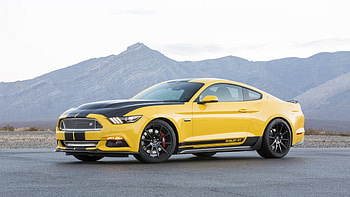 Shelby GT, Ford Mustang HD wallpaper