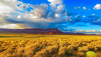 Utah sunrise, somewhere between Zion and Hurricane, plants, clouds, desert, landscape, sky, usa HD wallpaper