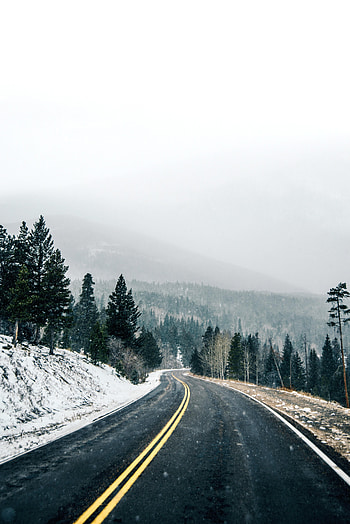 Winter, Nature, Snow, Road, Forest, Asphalt HD phone wallpaper