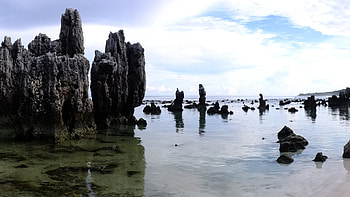 Nauru One Planet, Sustainable development, Environmental conservation, Eco-friendly initiatives HD wallpaper