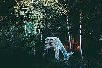 Trees, Art, Shine, Light, Miscellanea, Miscellaneous, Sculpture, Deer HD wallpaper
