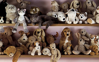 Animals, Toys, Cat, Dog, Shelf HD wallpaper