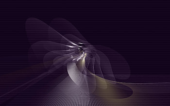 Abstract, Patterns, Dark, Lines, Fractal HD wallpaper