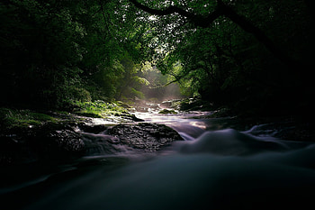 Beauty of nature, trees, river, nature, rocks HD wallpaper