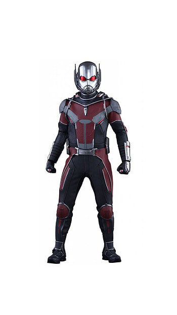 Ant Man, Marvel HD phone wallpaper