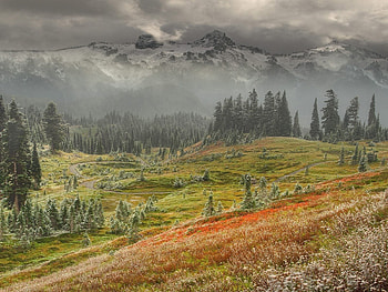Nature, Mountains, Fog, Frost HD wallpaper