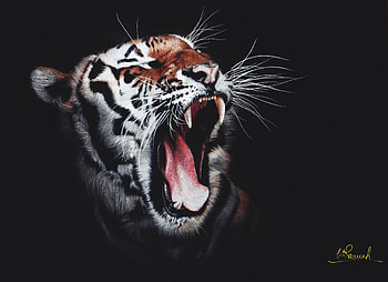 Tiger Roar, tiger, roar, artwork, digital-art, superheroes, art, animals HD wallpaper