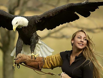 Woman, Eagle, a glove, eagle, woman, tree HD wallpaper