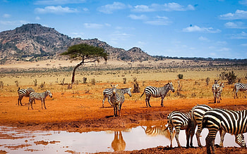 Kenyan , Breathtaking sceneries, Vibrant culture, African beauty HD wallpaper