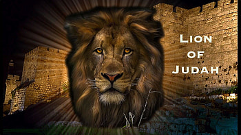 Lion Of Judah Jesus - Viewing Gallery HD wallpaper