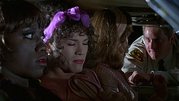 To Wong Foo Thanks, Julie Newmar HD wallpaper