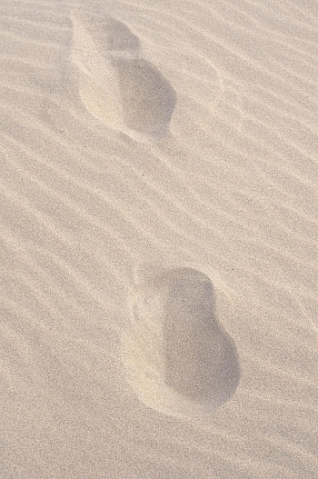 Beach, Sand, Miscellanea, Miscellaneous, Traces HD phone wallpaper