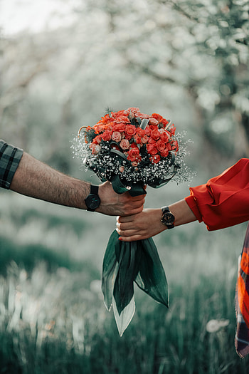 Flowers, Roses, Love, Bouquet, Hands HD phone wallpaper
