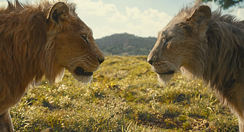 Mufasa: The Lion King, movie, Mufasa: The Lion King HD wallpaper