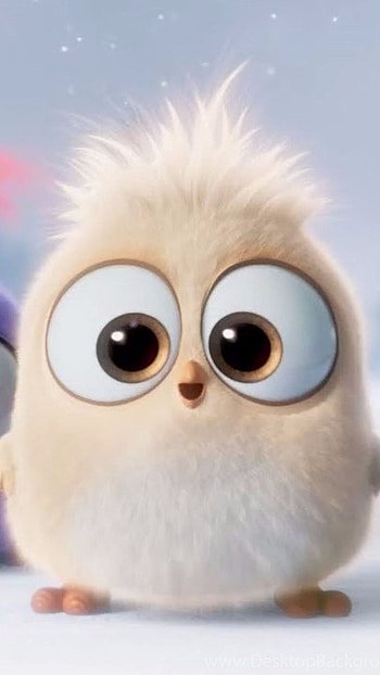Angry Birds, Cute, White Bird HD phone wallpaper