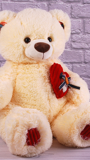 Teddy Bear Wale, Wall Background HD phone wallpaper