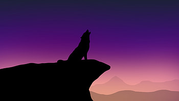 Howling Wolf Minimalism , howling, wolf, minimalism, artist, artwork, digital-art, minimalist, deviantart HD wallpaper
