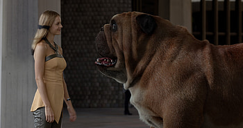 Lockjaw And Crystal Marvel Inhumans, lockjaw, inhumans, tv-shows, dog, marvel HD wallpaper