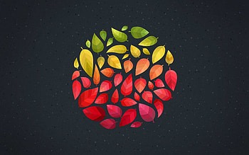 circle of autumn leaves, autumn concepts, gray background, autumn leaves, autumn elements HD wallpaper