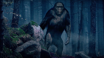 Trailer for the bigfoot documentary, On the trail of bigfoot, Discovery Geektyrant, Thriller HD wallpaper