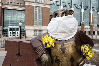 Minnesota Travels, University requirements, Mask mandate, Campus updates HD wallpaper