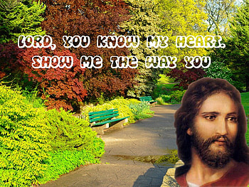 Jesus way, god, path, auutumn, jesus, christ, religion, christianity, way, forest HD wallpaper