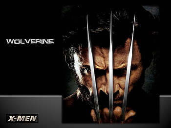 Wolverine, movies, superheroes, science fiction, comics HD wallpaper