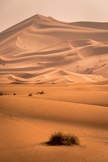 Beautifully captured sand dunes in the Sahara Desert, showcasing the vast arid landscape. HD phone wallpaper