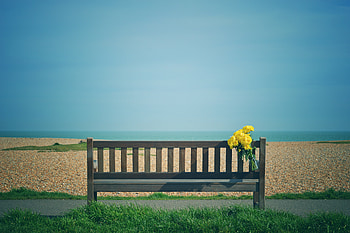 Flowers, Beach, Miscellanea, Miscellaneous, Bouquet, Bench HD wallpaper