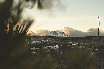 Landscape, Nature, Mountain, Vertex, Top, Forest, Foothills, Foothill HD wallpaper