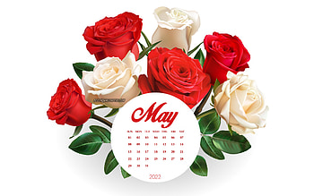 2022 May Calendar, , bouquet of roses, red roses, May, white roses, 2022 spring calendars, May 2022 Calendar, 2022 concepts HD wallpaper