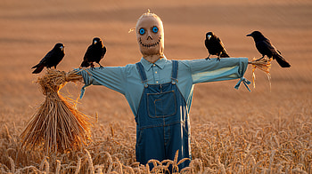 : Crow-Keeper Scarecrow HD wallpaper