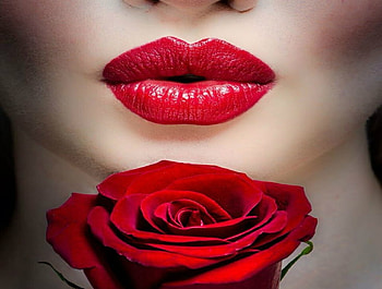 ღ, Model, Red lips, Rose, Lipstick HD wallpaper