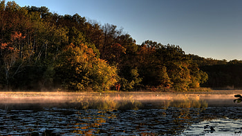 Lake Superior, Minnesota forest, Top HD wallpaper