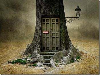 My home in the woods, mist, stairs, door, lamp, home, private sign, tree HD wallpaper