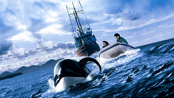 Willy 3 movie, , Hintergrnde, Movies HD wallpaper