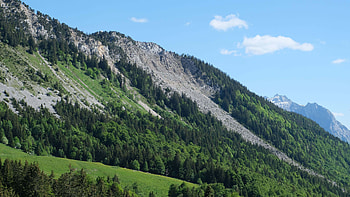 Rock Trees Forest Slope Grass Field Bushes Mountains In Blue Sky Background Nature HD wallpaper