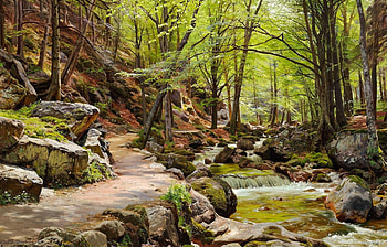 Path by Rocky Forest River, Rocks, Trees, Rivers, Nature, Forests, Pathways HD wallpaper